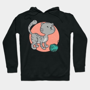 Funny Grey Cat Hoodie